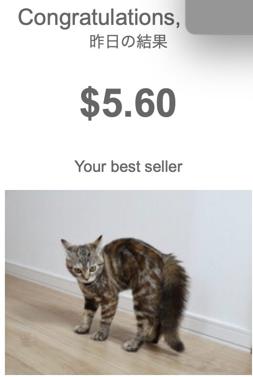 威嚇する猫の写真