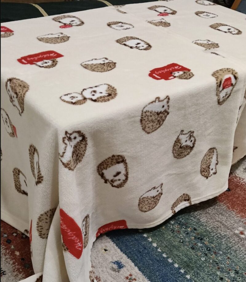 家にあるテーブルに毛布をかけた自家製こたつ